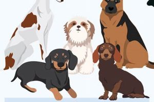 Find Your ESA: Dog Adoption Near You My Caring Dog – Tips, Stories, and Care Guides for Loving Pet Owners Find Your ESA: Dog Adoption Near You | My Caring Dog – Tips, Stories, and Care Guides for Loving Pet Owners