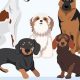 Find Your ESA: Dog Adoption Near You | My Caring Dog – Tips, Stories, and Care Guides for Loving Pet Owners