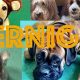 El Segundo Overnight Dog Day Care Jobs: Hiring Now! | My Caring Dog – Tips, Stories, and Care Guides for Loving Pet Owners