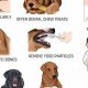 How To Take Care Of Dogs Teeth | My Caring Dog – Tips, Stories, and Care Guides for Loving Pet Owners
