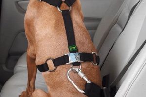 Best Dog Car Harness Seat Belt Attachments for Safe Travels My Caring Dog – Tips, Stories, and Care Guides for Loving Pet Owners Best Dog Car Harness Seat Belt Attachments for Safe Travels | My Caring Dog – Tips, Stories, and Care Guides for Loving Pet Owners