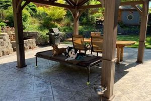 Doggy Dog Walker & In Home Pet Care My Caring Dog – Tips, Stories, and Care Guides for Loving Pet Owners Doggy Dog Walker & In Home Pet Care | My Caring Dog – Tips, Stories, and Care Guides for Loving Pet Owners