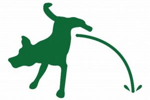 Eco-Friendly Dog Care: Go Green for Your Pup My Caring Dog – Tips, Stories, and Care Guides for Loving Pet Owners Eco-Friendly Dog Care: Go Green for Your Pup | My Caring Dog – Tips, Stories, and Care Guides for Loving Pet Owners