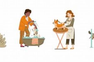 Dog Caretakers: Names & Roles Explained My Caring Dog – Tips, Stories, and Care Guides for Loving Pet Owners Dog Caretakers: Names & Roles Explained | My Caring Dog – Tips, Stories, and Care Guides for Loving Pet Owners