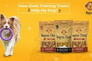 How To Help My Dog My Caring Dog – Tips, Stories, and Care Guides for Loving Pet Owners How To Help My Dog | My Caring Dog – Tips, Stories, and Care Guides for Loving Pet Owners