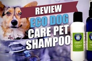 Eco Dog Care My Caring Dog – Tips, Stories, and Care Guides for Loving Pet Owners Eco Dog Care | My Caring Dog – Tips, Stories, and Care Guides for Loving Pet Owners