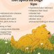 Dog Hot Spot Care: Tips & Treatments | My Caring Dog – Tips, Stories, and Care Guides for Loving Pet Owners