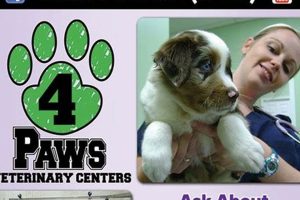 Best Dog Day Care in Overland Park, KS My Caring Dog – Tips, Stories, and Care Guides for Loving Pet Owners Best Dog Day Care in Overland Park, KS | My Caring Dog – Tips, Stories, and Care Guides for Loving Pet Owners
