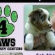 Best Dog Day Care in Overland Park, KS | My Caring Dog – Tips, Stories, and Care Guides for Loving Pet Owners