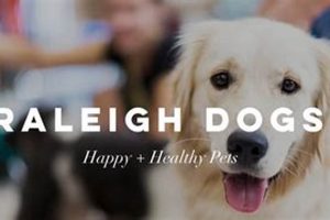 Top Dog Day Care in Raleigh NC: Best Options My Caring Dog – Tips, Stories, and Care Guides for Loving Pet Owners Top Dog Day Care in Raleigh NC: Best Options | My Caring Dog – Tips, Stories, and Care Guides for Loving Pet Owners