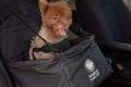 Best AKC-Approved Dog Car Seats: Safe Travels My Caring Dog – Tips, Stories, and Care Guides for Loving Pet Owners Best AKC-Approved Dog Car Seats: Safe Travels | My Caring Dog – Tips, Stories, and Care Guides for Loving Pet Owners