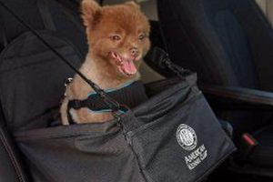 Best AKC-Approved Dog Car Seats: Safe Travels My Caring Dog – Tips, Stories, and Care Guides for Loving Pet Owners Best AKC-Approved Dog Car Seats: Safe Travels | My Caring Dog – Tips, Stories, and Care Guides for Loving Pet Owners