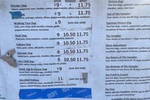 Help Stray Dogs in Medford, Oregon My Caring Dog – Tips, Stories, and Care Guides for Loving Pet Owners Help Stray Dogs in Medford, Oregon | My Caring Dog – Tips, Stories, and Care Guides for Loving Pet Owners