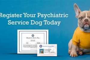 Get a Psychiatric Service Dog Free: Grants & More My Caring Dog – Tips, Stories, and Care Guides for Loving Pet Owners Get a Psychiatric Service Dog Free: Grants & More | My Caring Dog – Tips, Stories, and Care Guides for Loving Pet Owners