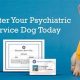 Get a Psychiatric Service Dog Free: Grants & More | My Caring Dog – Tips, Stories, and Care Guides for Loving Pet Owners