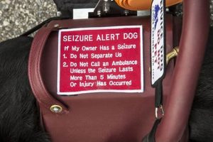 Find Seizure Alert Dog Grants & Financial Aid My Caring Dog – Tips, Stories, and Care Guides for Loving Pet Owners Find Seizure Alert Dog Grants & Financial Aid | My Caring Dog – Tips, Stories, and Care Guides for Loving Pet Owners