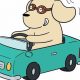 Funny Dog Car Cartoon Adventures | My Caring Dog – Tips, Stories, and Care Guides for Loving Pet Owners