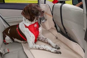 Best Dog Car Seat Bridges & Console Seats My Caring Dog – Tips, Stories, and Care Guides for Loving Pet Owners Best Dog Car Seat Bridges & Console Seats | My Caring Dog – Tips, Stories, and Care Guides for Loving Pet Owners