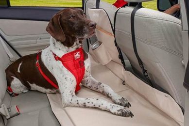 Best Dog Car Seat Bridges & Console Seats My Caring Dog – Tips, Stories, and Care Guides for Loving Pet Owners Best Dog Car Seat Bridges & Console Seats | My Caring Dog – Tips, Stories, and Care Guides for Loving Pet Owners