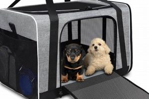 Best Dog Car Carriers for Large Dogs: Safe Travel My Caring Dog – Tips, Stories, and Care Guides for Loving Pet Owners Best Dog Car Carriers for Large Dogs: Safe Travel | My Caring Dog – Tips, Stories, and Care Guides for Loving Pet Owners