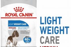 Best Royal Canin Medium Light Weight Care Dog Food for 2024 My Caring Dog – Tips, Stories, and Care Guides for Loving Pet Owners Best Royal Canin Medium Light Weight Care Dog Food for 2024 | My Caring Dog – Tips, Stories, and Care Guides for Loving Pet Owners