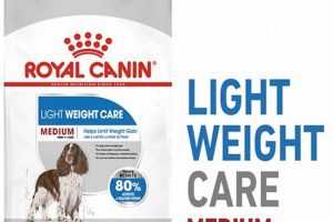 Best Royal Canin Medium Light Weight Care Dog Food for 2024 My Caring Dog – Tips, Stories, and Care Guides for Loving Pet Owners Best Royal Canin Medium Light Weight Care Dog Food for 2024 | My Caring Dog – Tips, Stories, and Care Guides for Loving Pet Owners