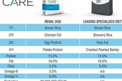 Best Diamond Care Renal Dog Food for Kidney Health My Caring Dog – Tips, Stories, and Care Guides for Loving Pet Owners Best Diamond Care Renal Dog Food for Kidney Health | My Caring Dog – Tips, Stories, and Care Guides for Loving Pet Owners