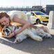 Preventing Dog &amp; Car Collisions: Safety Tips | My Caring Dog – Tips, Stories, and Care Guides for Loving Pet Owners