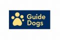 Best Guide Dogs Org for Car Travel Safety My Caring Dog – Tips, Stories, and Care Guides for Loving Pet Owners Best Guide Dogs Org for Car Travel Safety | My Caring Dog – Tips, Stories, and Care Guides for Loving Pet Owners
