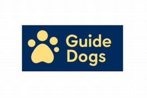 Best Guide Dogs Org for Car Travel Safety My Caring Dog – Tips, Stories, and Care Guides for Loving Pet Owners Best Guide Dogs Org for Car Travel Safety | My Caring Dog – Tips, Stories, and Care Guides for Loving Pet Owners