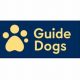 Best Guide Dogs Org for Car Travel Safety | My Caring Dog – Tips, Stories, and Care Guides for Loving Pet Owners