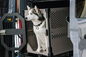 Top Crash Tested Dog Crates for Cars & SUVs My Caring Dog – Tips, Stories, and Care Guides for Loving Pet Owners Top Crash Tested Dog Crates for Cars & SUVs | My Caring Dog – Tips, Stories, and Care Guides for Loving Pet Owners
