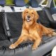 Best Dog Car Booster Seats Canada: Top Picks | My Caring Dog – Tips, Stories, and Care Guides for Loving Pet Owners