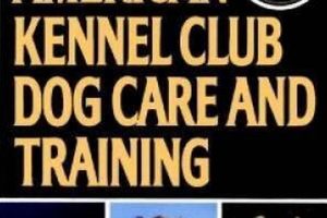 AKC Dog Care & Training Guide: Tips & Tricks My Caring Dog – Tips, Stories, and Care Guides for Loving Pet Owners AKC Dog Care & Training Guide: Tips & Tricks | My Caring Dog – Tips, Stories, and Care Guides for Loving Pet Owners
