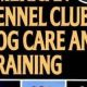 AKC Dog Care & Training Guide: Tips & Tricks | My Caring Dog – Tips, Stories, and Care Guides for Loving Pet Owners