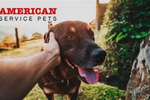 Real American Service Pets Reviews & Complaints My Caring Dog – Tips, Stories, and Care Guides for Loving Pet Owners Real American Service Pets Reviews & Complaints | My Caring Dog – Tips, Stories, and Care Guides for Loving Pet Owners