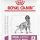 Best Royal Canin Kidney Care Dog Food Guide | My Caring Dog – Tips, Stories, and Care Guides for Loving Pet Owners