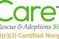 Top Caretx Accessories for Your Car Dog My Caring Dog – Tips, Stories, and Care Guides for Loving Pet Owners Top Caretx Accessories for Your Car Dog | My Caring Dog – Tips, Stories, and Care Guides for Loving Pet Owners