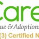 Top Caretx Accessories for Your Car Dog | My Caring Dog – Tips, Stories, and Care Guides for Loving Pet Owners