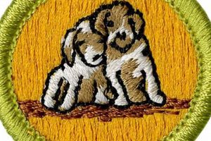 Earn Your Merit Badge: Dog Care Guide My Caring Dog – Tips, Stories, and Care Guides for Loving Pet Owners Earn Your Merit Badge: Dog Care Guide | My Caring Dog – Tips, Stories, and Care Guides for Loving Pet Owners