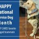 Cares Incorporated: Service Dogs & Training | My Caring Dog – Tips, Stories, and Care Guides for Loving Pet Owners