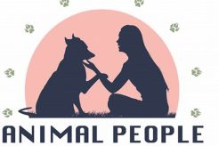 Best Dog Day Care in High Point, NC: Top Picks My Caring Dog – Tips, Stories, and Care Guides for Loving Pet Owners Best Dog Day Care in High Point, NC: Top Picks | My Caring Dog – Tips, Stories, and Care Guides for Loving Pet Owners