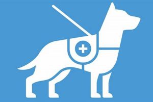 Best Service Dogs for Crohn's Disease Support My Caring Dog – Tips, Stories, and Care Guides for Loving Pet Owners Best Service Dogs for Crohn's Disease Support | My Caring Dog – Tips, Stories, and Care Guides for Loving Pet Owners