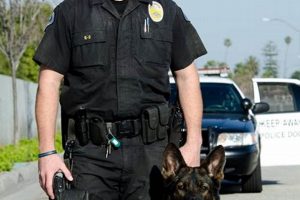 Top K9 Dog Handler Jobs & Careers My Caring Dog – Tips, Stories, and Care Guides for Loving Pet Owners Top K9 Dog Handler Jobs & Careers | My Caring Dog – Tips, Stories, and Care Guides for Loving Pet Owners