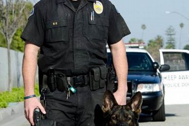 Top K9 Dog Handler Jobs & Careers My Caring Dog – Tips, Stories, and Care Guides for Loving Pet Owners Top K9 Dog Handler Jobs & Careers | My Caring Dog – Tips, Stories, and Care Guides for Loving Pet Owners