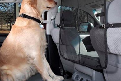 Top Car Front Seat Dog Barriers for Safe Travel My Caring Dog – Tips, Stories, and Care Guides for Loving Pet Owners Top Car Front Seat Dog Barriers for Safe Travel | My Caring Dog – Tips, Stories, and Care Guides for Loving Pet Owners
