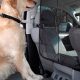 Top Car Front Seat Dog Barriers for Safe Travel | My Caring Dog – Tips, Stories, and Care Guides for Loving Pet Owners