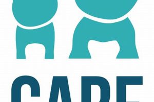 St. Louis Cares: Dog Car Safety & Comfort My Caring Dog – Tips, Stories, and Care Guides for Loving Pet Owners St. Louis Cares: Dog Car Safety & Comfort | My Caring Dog – Tips, Stories, and Care Guides for Loving Pet Owners