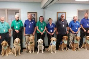 Top Dog Day Care in Valparaiso, IN My Caring Dog – Tips, Stories, and Care Guides for Loving Pet Owners Top Dog Day Care in Valparaiso, IN | My Caring Dog – Tips, Stories, and Care Guides for Loving Pet Owners
