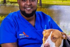 Top Dog Day Care in Broward County, FL My Caring Dog – Tips, Stories, and Care Guides for Loving Pet Owners Top Dog Day Care in Broward County, FL | My Caring Dog – Tips, Stories, and Care Guides for Loving Pet Owners